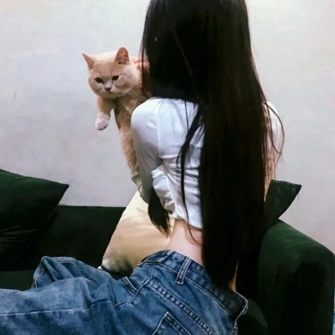 热斗小斑马